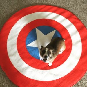 Meet your Posher, Jake